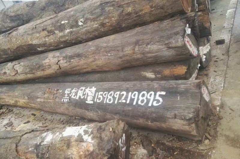 甘蓝豆，黑龙凤檀