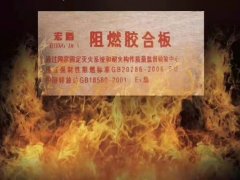 难燃胶合板、难燃工程板、难燃家具板图3